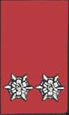 OFM 1